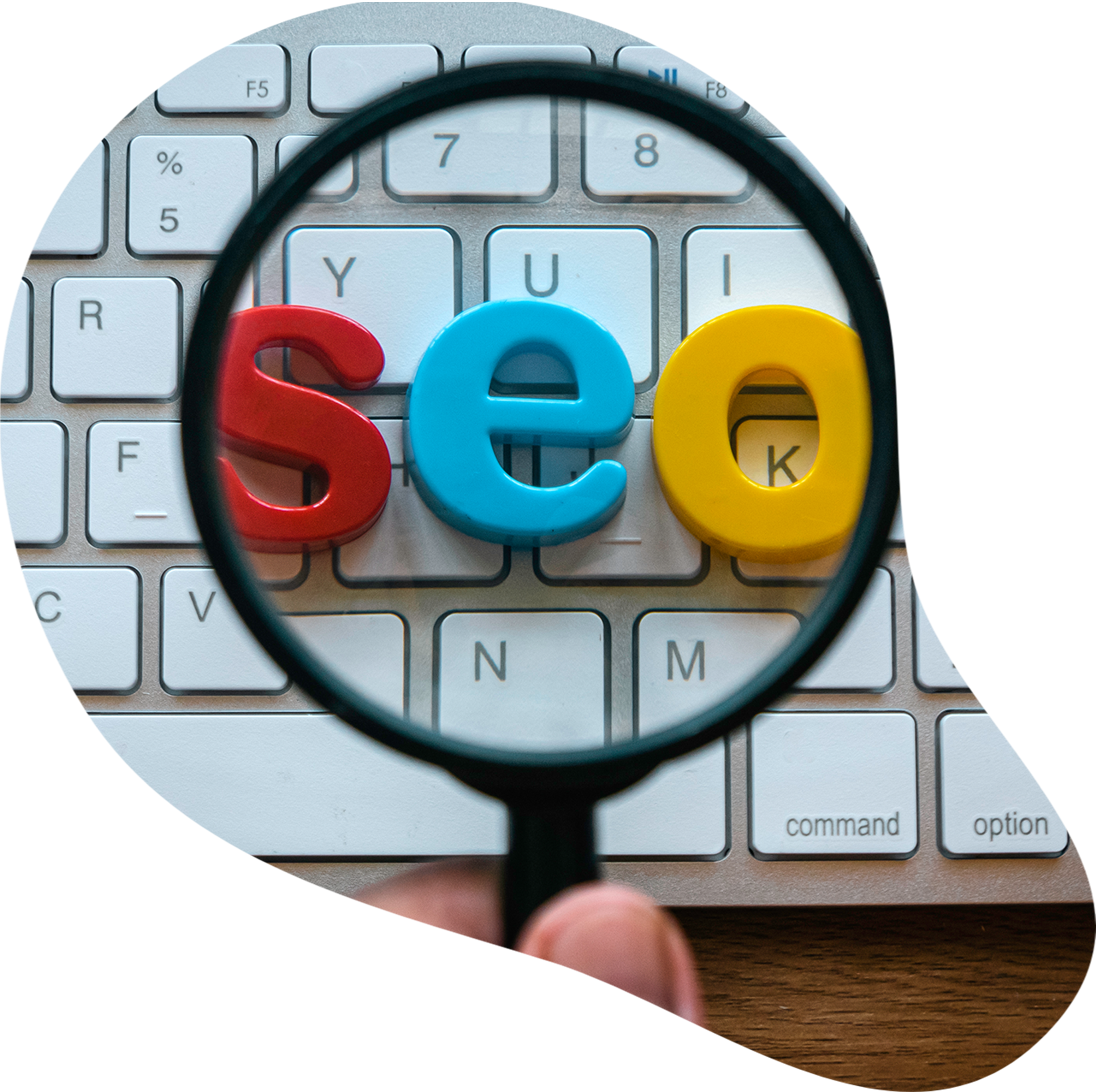 consultor seo monterrey