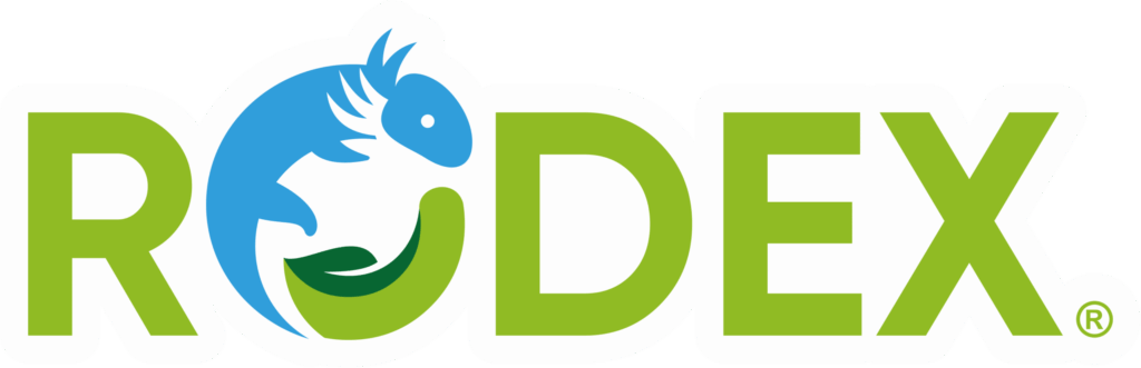 consultor SEO en monterrey